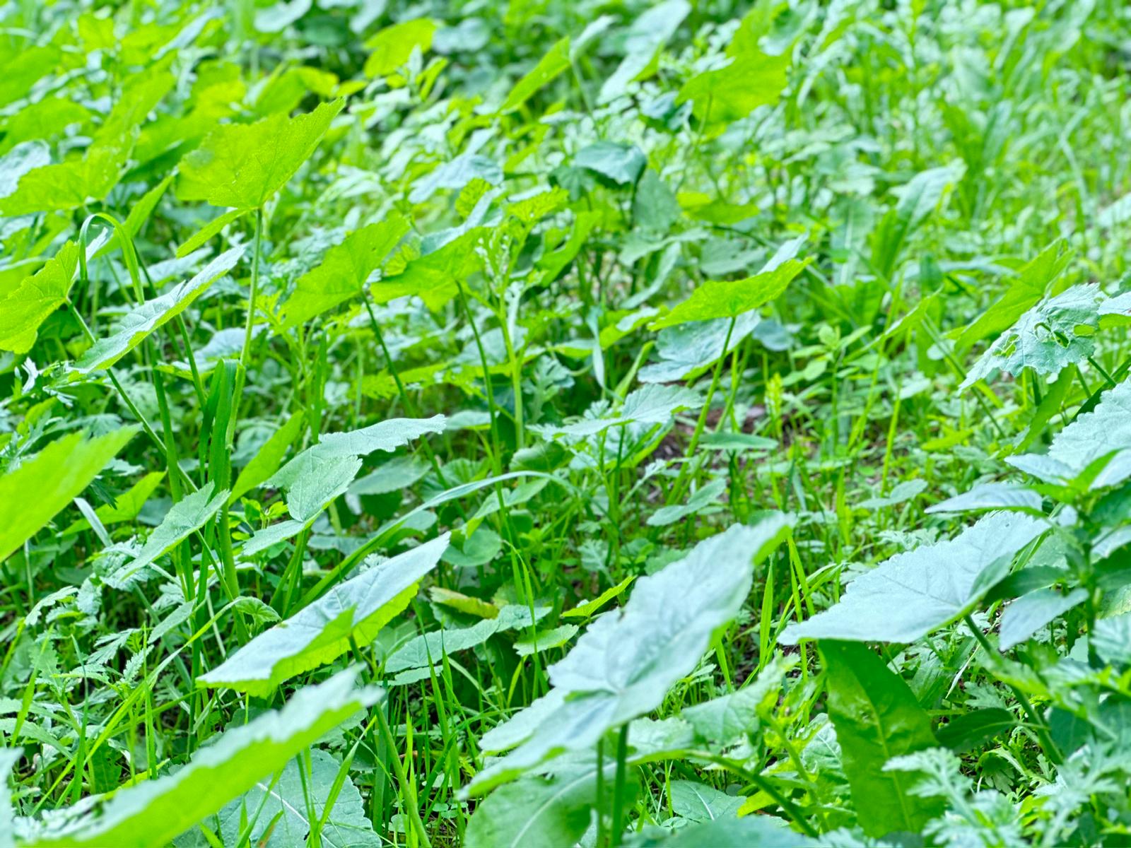 WhatsApp Image 2024-01-05 at 14.01.21.jpeg